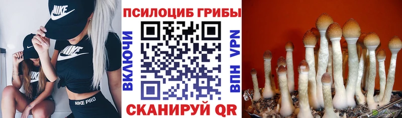 Галлюциногенные грибы прущие грибы  Чистополь 